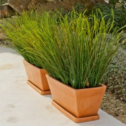Jardinera jazmín rústica...