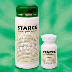 Starce