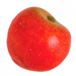 Ciruela roja