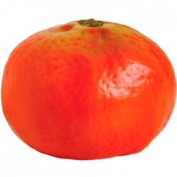 Mandarina lisa