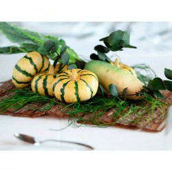 Calabaza
