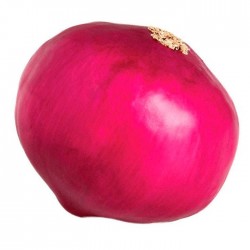 Cebolla artificial