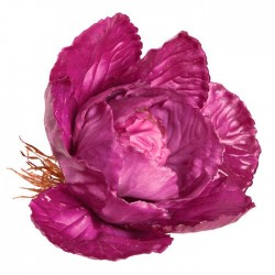 Col morada