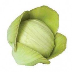 Coliflor