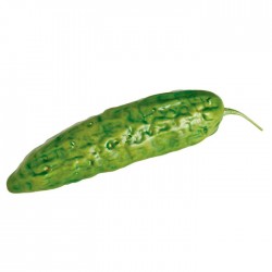 Pepino