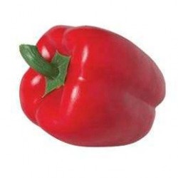 Pimiento dulce rojo
