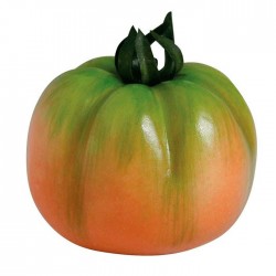 Tomate verde