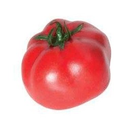 Tomate raf