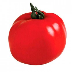 Tomate rojo artificial