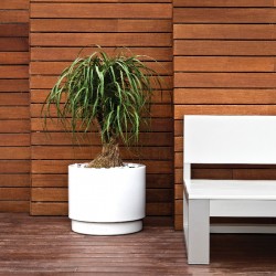 Maceta basic