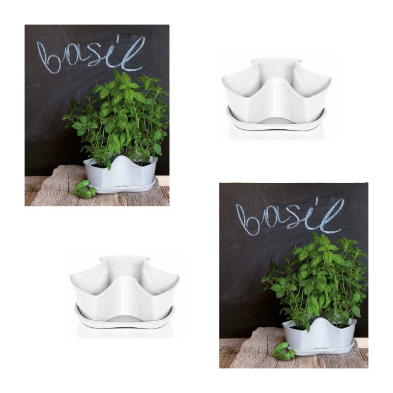 Maceta coubi base con plato