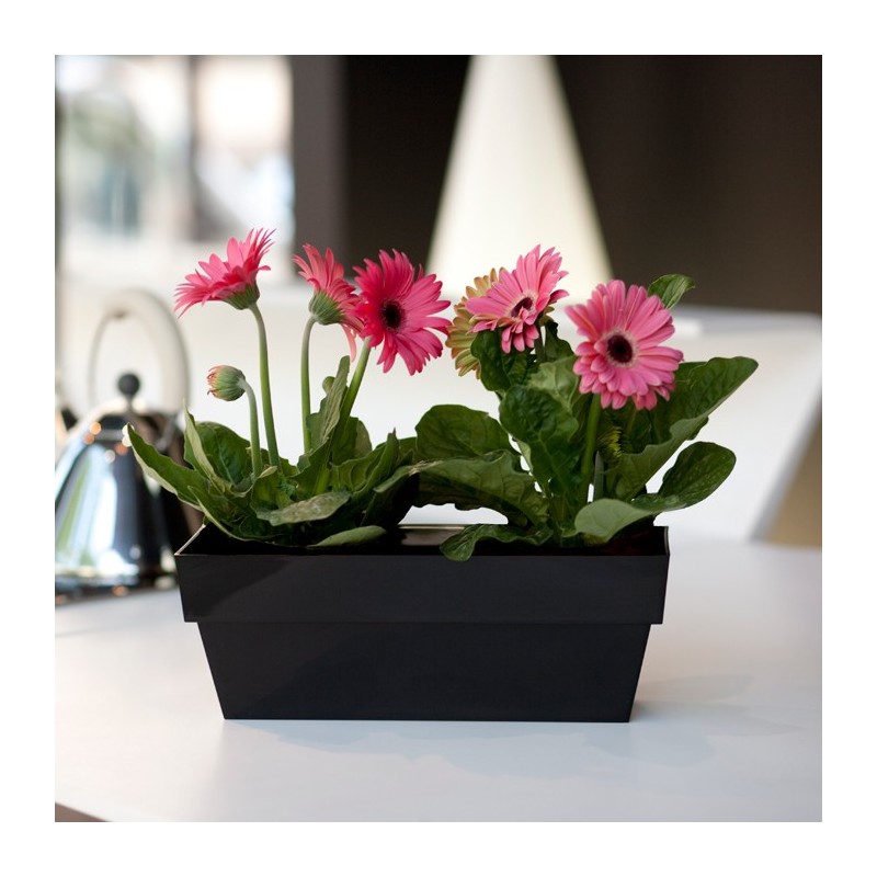 Jardinera limited