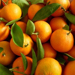 Clementinas