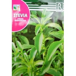 Semillas stevia rebaudiana
