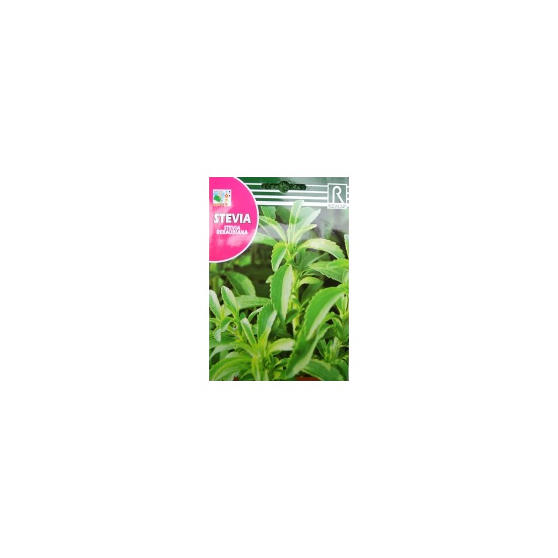 Semillas stevia rebaudiana