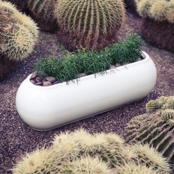 Kannelloni jardinera basic