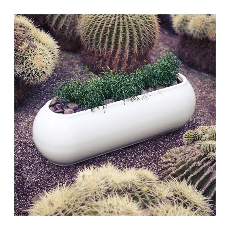 Kannelloni jardinera basic