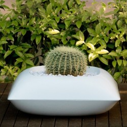 Pillow macetero basic