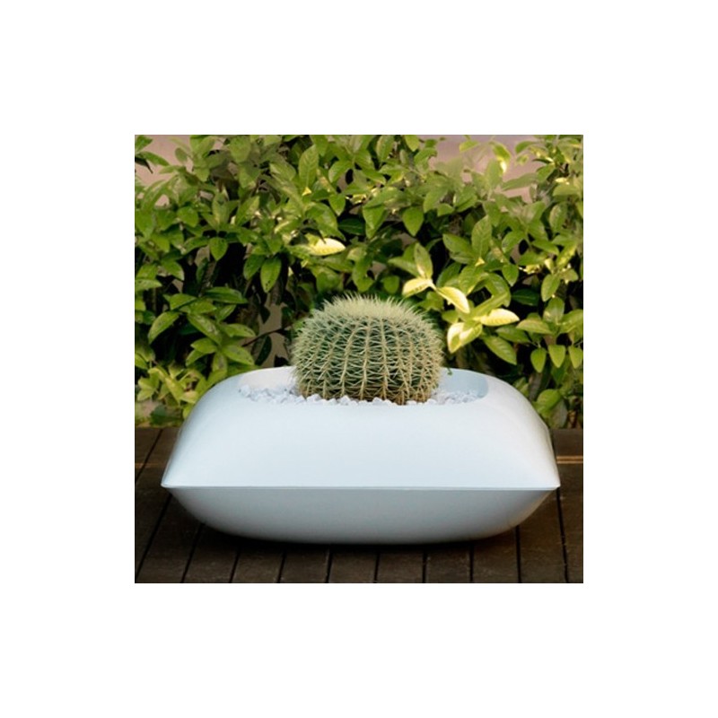 Pillow macetero basic