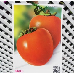 Kaki rojo brillante