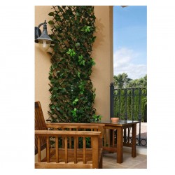 Celosia Extensible Decorativa