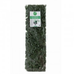 Celosia Extensible Decorativa