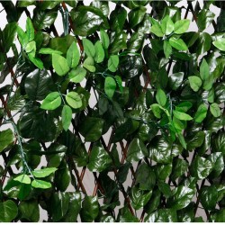 Celosia Extensible Decorativa
