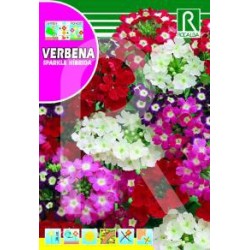 Semillas verbena sparkle...