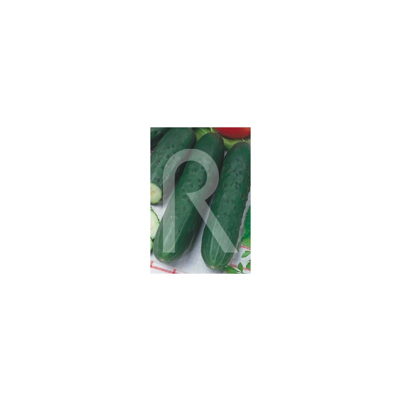 Pepino marketer
