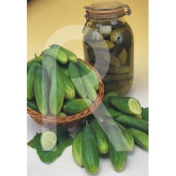 PEPINILLO CORNICHON DE PARIS