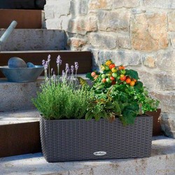 Balconera cottage Lechuza