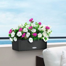 Balconera cottage Lechuza