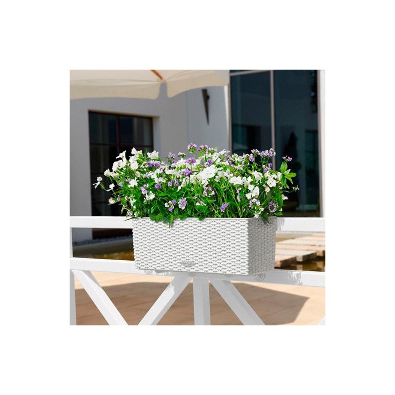 Balconera cottage Lechuza