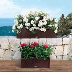 Balconera cottage Lechuza