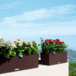 Balconera cottage Lechuza