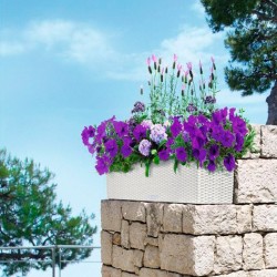 Balconera cottage Lechuza
