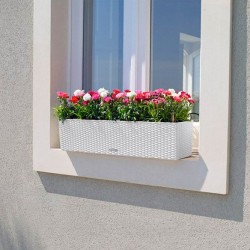 Balconera cottage Lechuza