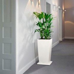 Soporte con ruedas cubico Lechuza