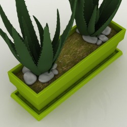 Plato Jardinera fang