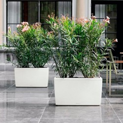 Jardinera cararo Lechuza