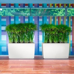 Jardinera cararo Lechuza