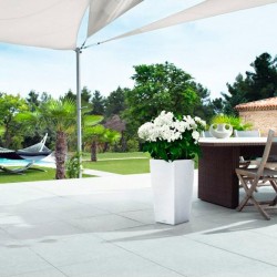 Lechuza Cottage