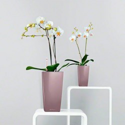 Mini cubi