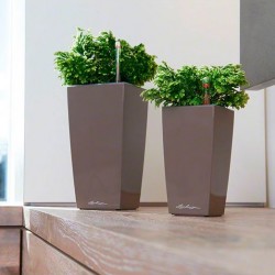 Mini cubi