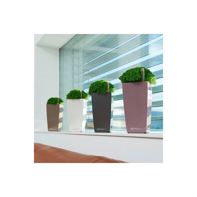 Mini cubi