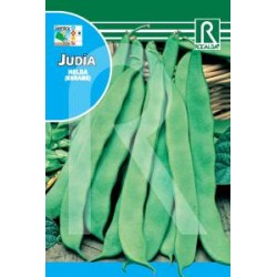 JUDIA HELDA