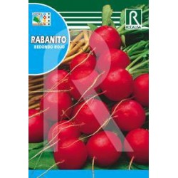 RABANITO REDONDO ROJO