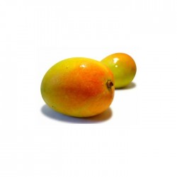 Mango kensington