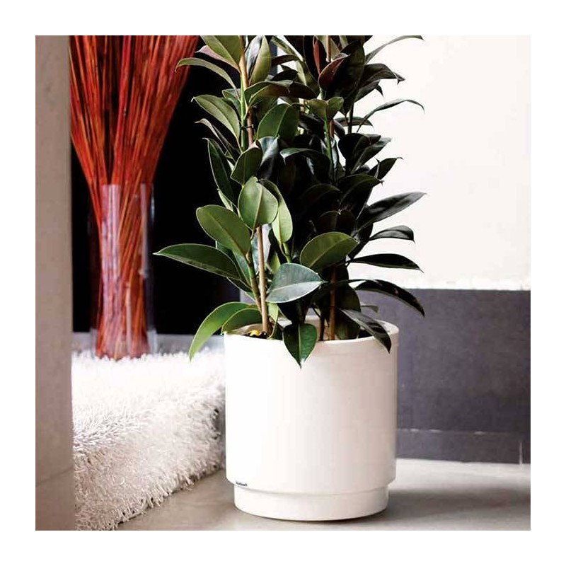 Hidrojardinera