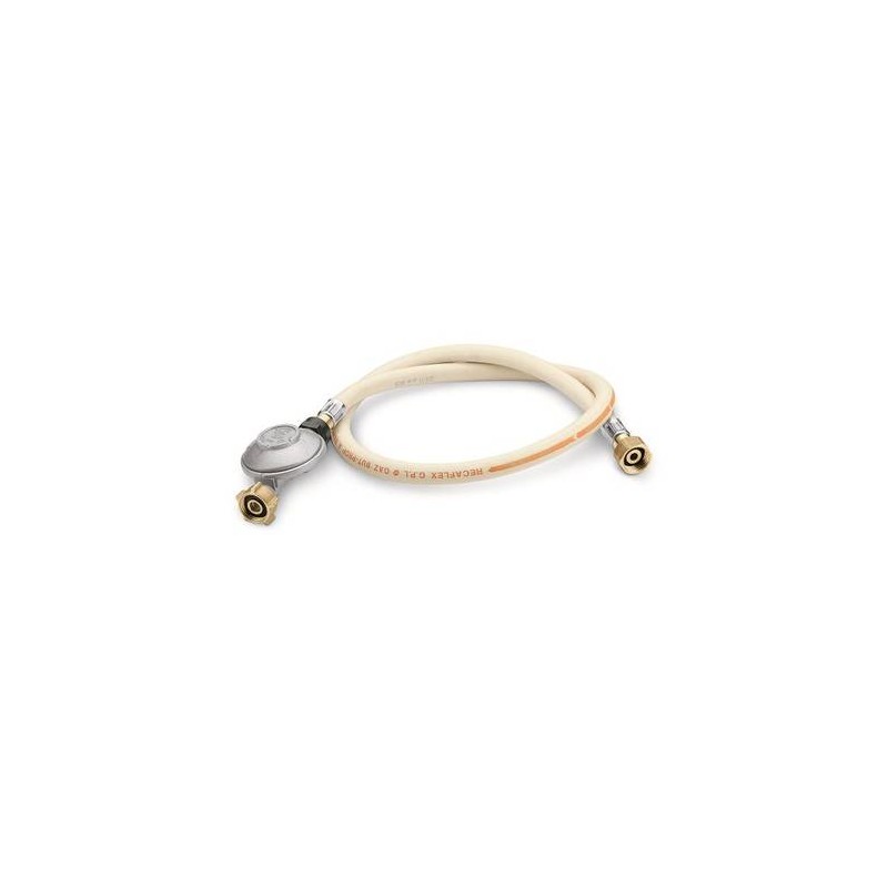 Adaptador manguera larga y regulador de gas para Weber Q 1000